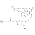 3’-FAM LCAA CPG | FIVEphoton Biochemicals | HPT1401